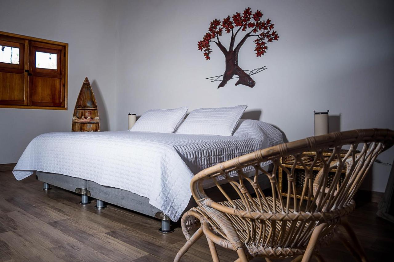 Eco Hotel Nativo Juan de Acosta Eksteriør billede